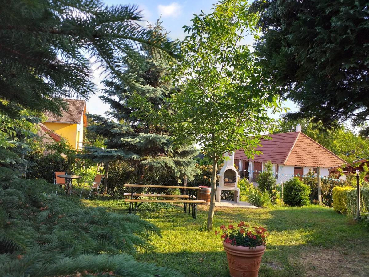 Art Inn Apartmanhaz Balaton-גיינסדיאס מראה חיצוני תמונה